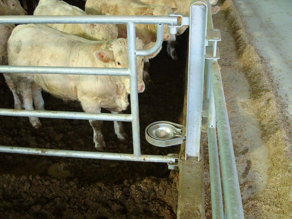 stabulazione fissa per bovini da carne