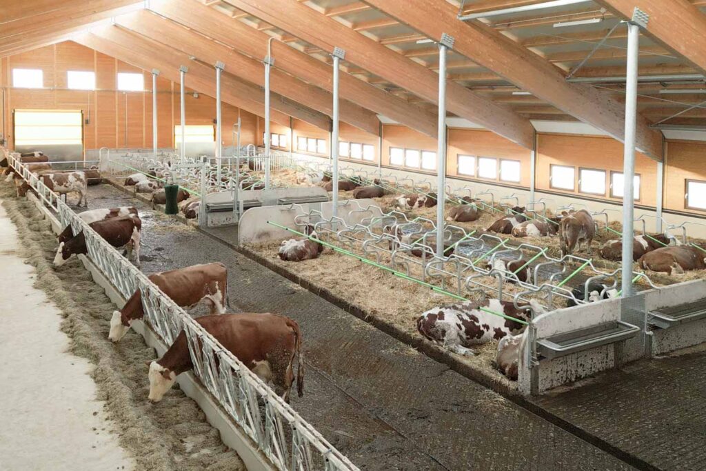 separatore mod futura cuccette a paglia panorama