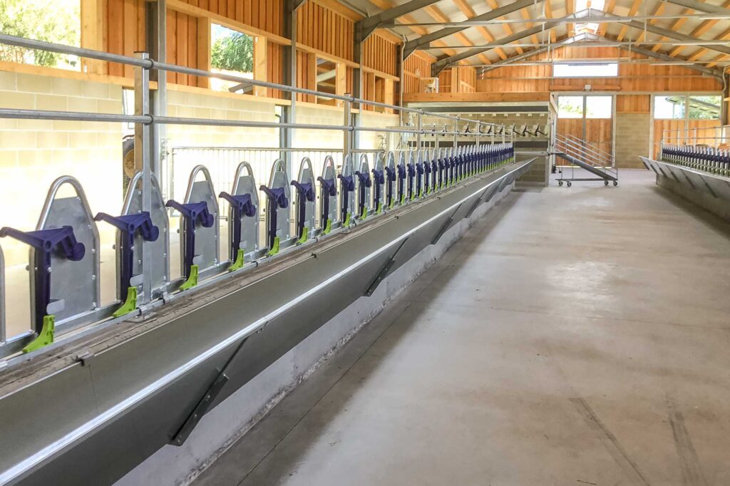 autocattura con bilanciere per ovini e caprini
